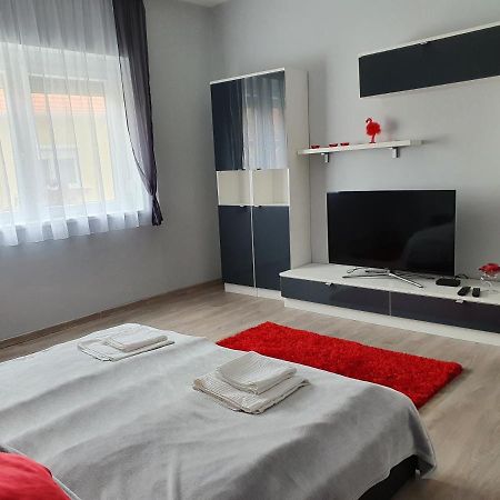 Flamingo Apartment Sárvár المظهر الخارجي الصورة
